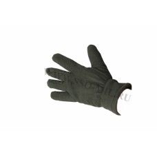 Gloves Polar 200