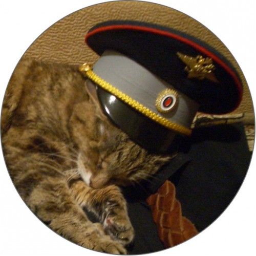 Cap souvenir traffic police 29 Headgear by SPLAV